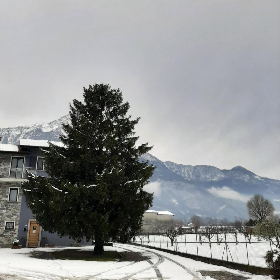 B&B Zia Vivina Sorico Exterior foto